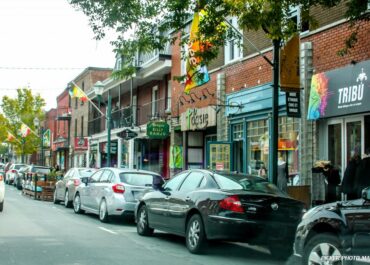 Long Distance Moving Magog: Your Ultimate Guide